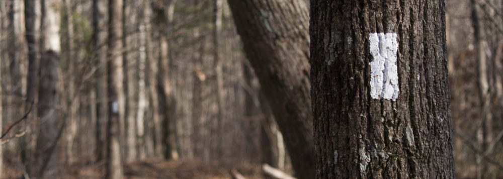 Hiking Loon